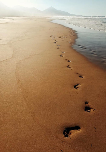 The Beach Path Photo Print