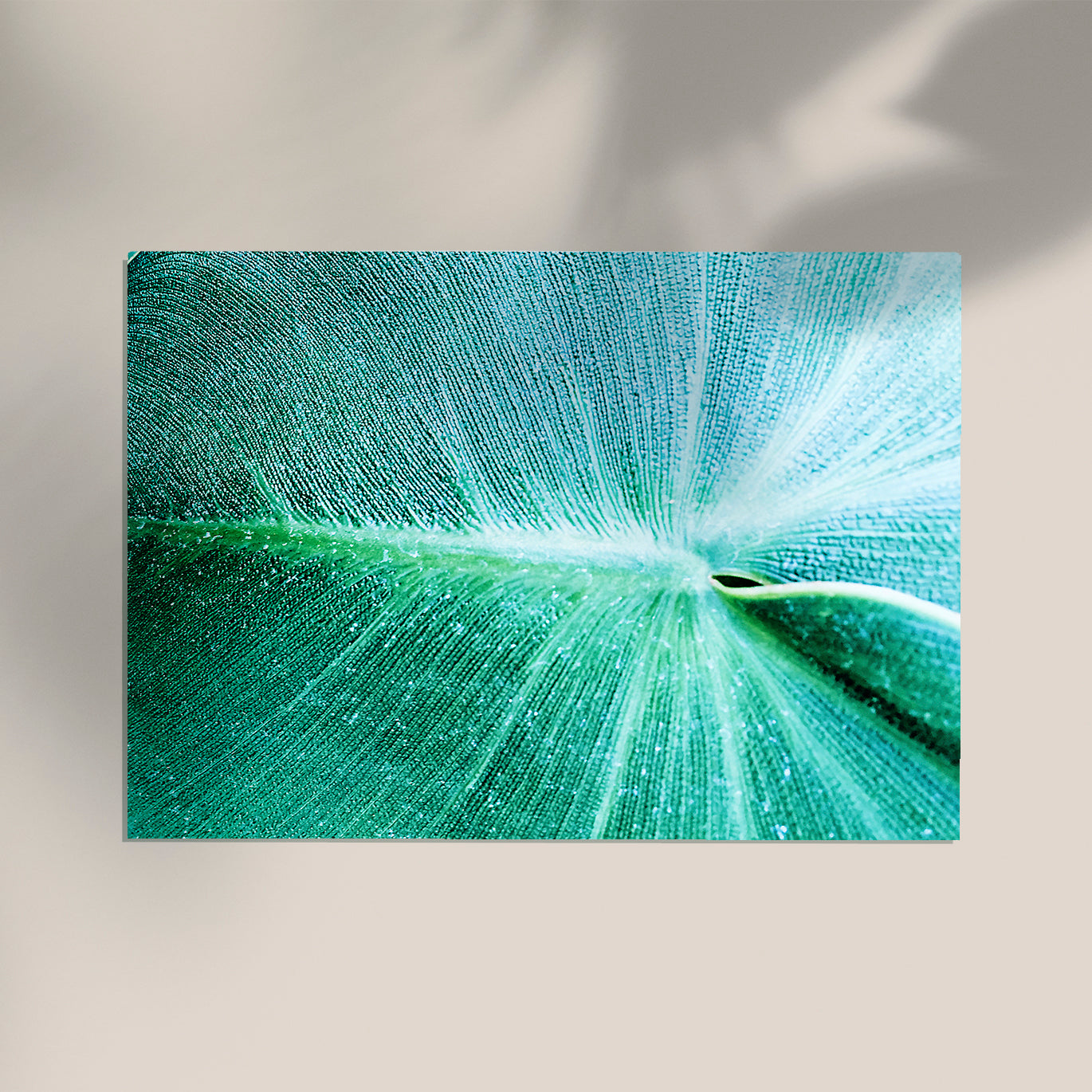 Leaf in Detail at Botanische Garten Photo Print