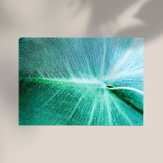 Leaf in Detail at Botanische Garten Photo Print