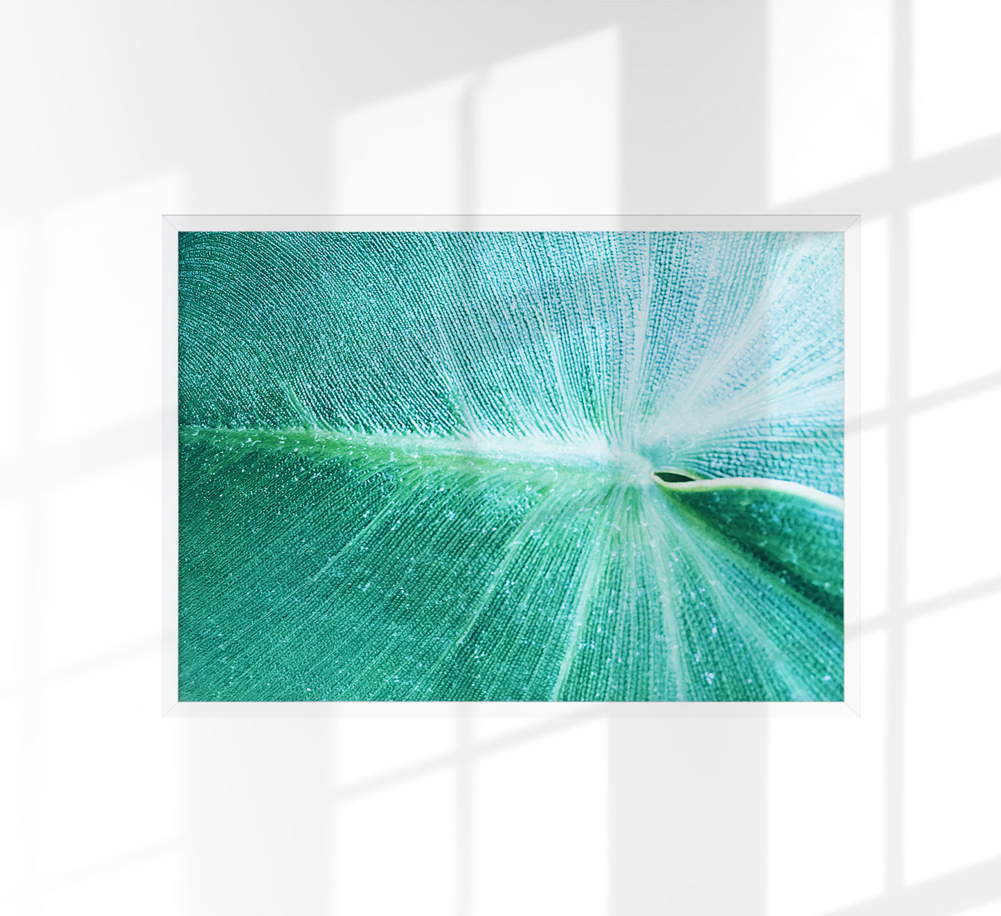 Leaf in Detail at Botanische Garten Photo Print
