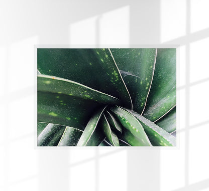 Plant in Detail at Botanische Garten Photo Print