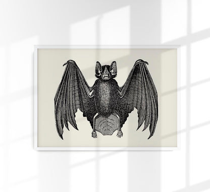 Antique Bat Poster