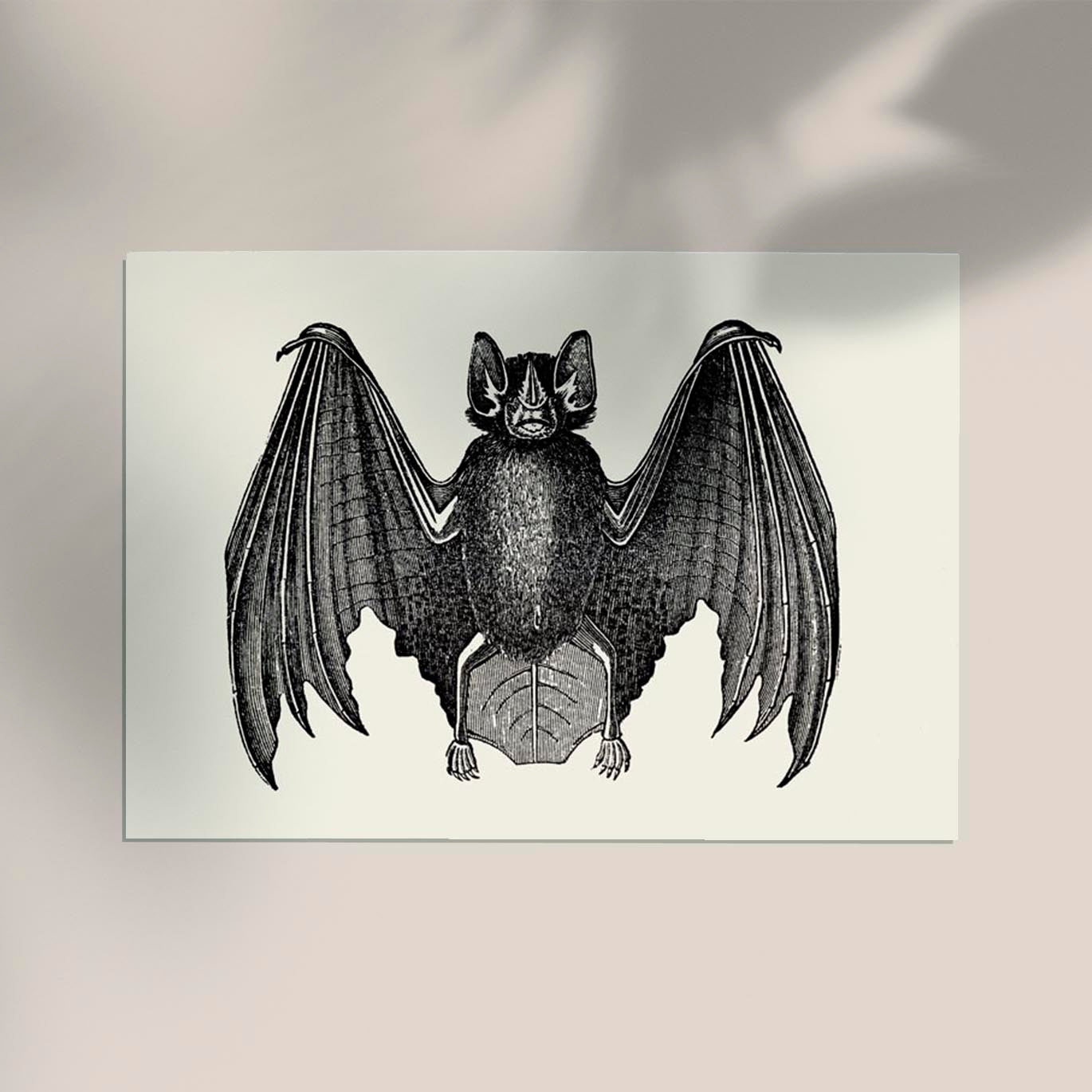 Antique Bat Poster