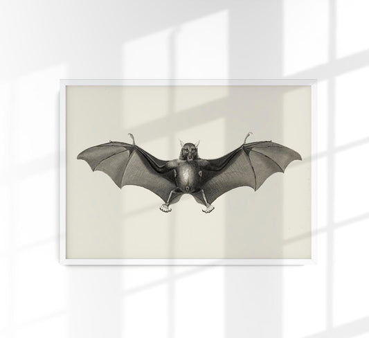 Antique Big Bat Poster