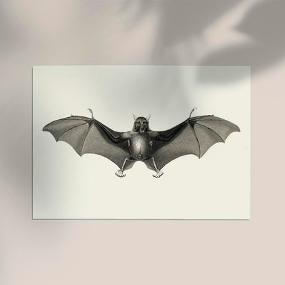 Antique Big Bat Poster