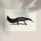 Antique Giant Anteater Poster