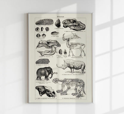 Antique Diluvium Animals Poster