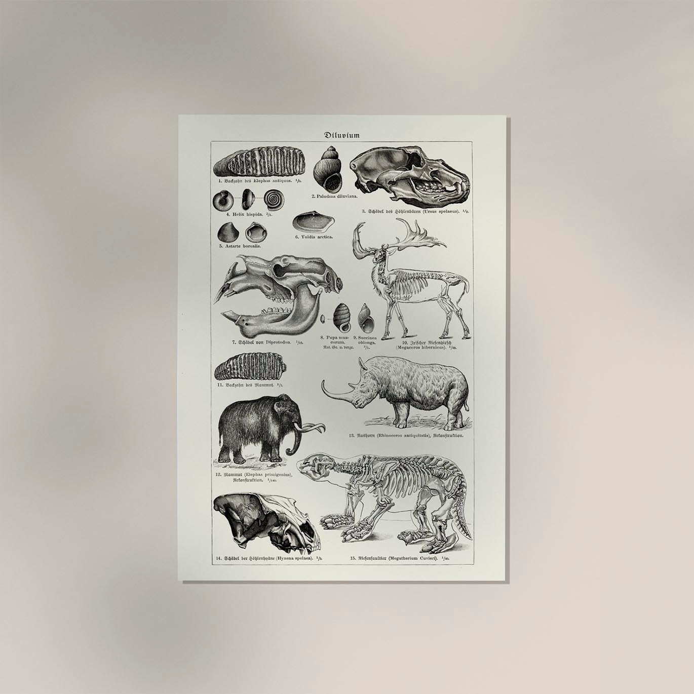 Antique Diluvium Animals Poster