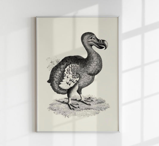 Antique Dodo Poster