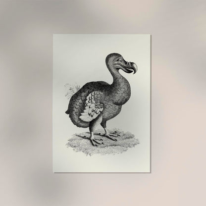 Antique Dodo Poster