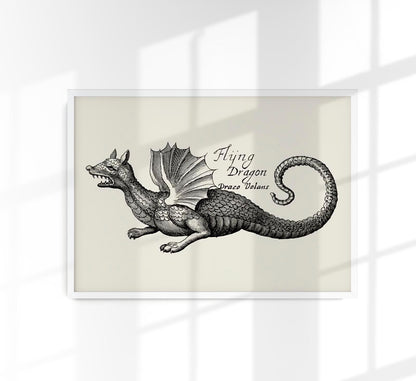 Antique Flying Dragon Poster