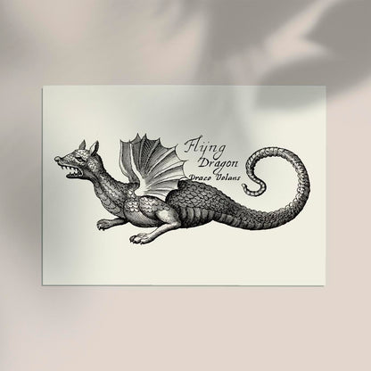 Antique Flying Dragon Poster