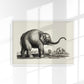 Antique Elephant Poster