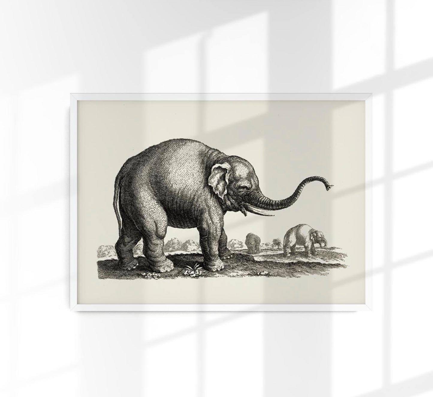 Antique Elephant Poster