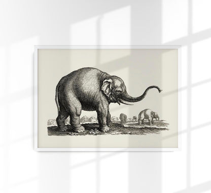 Antique Elephant Poster