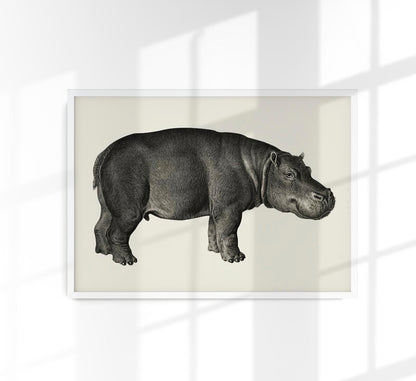 Hippo Poster