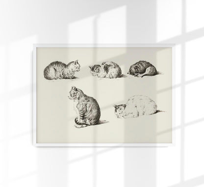 Cats Poster