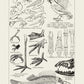 Animal Body Parts Poster