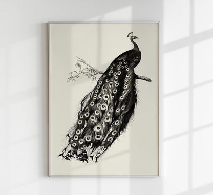 Antique Peacock Poster