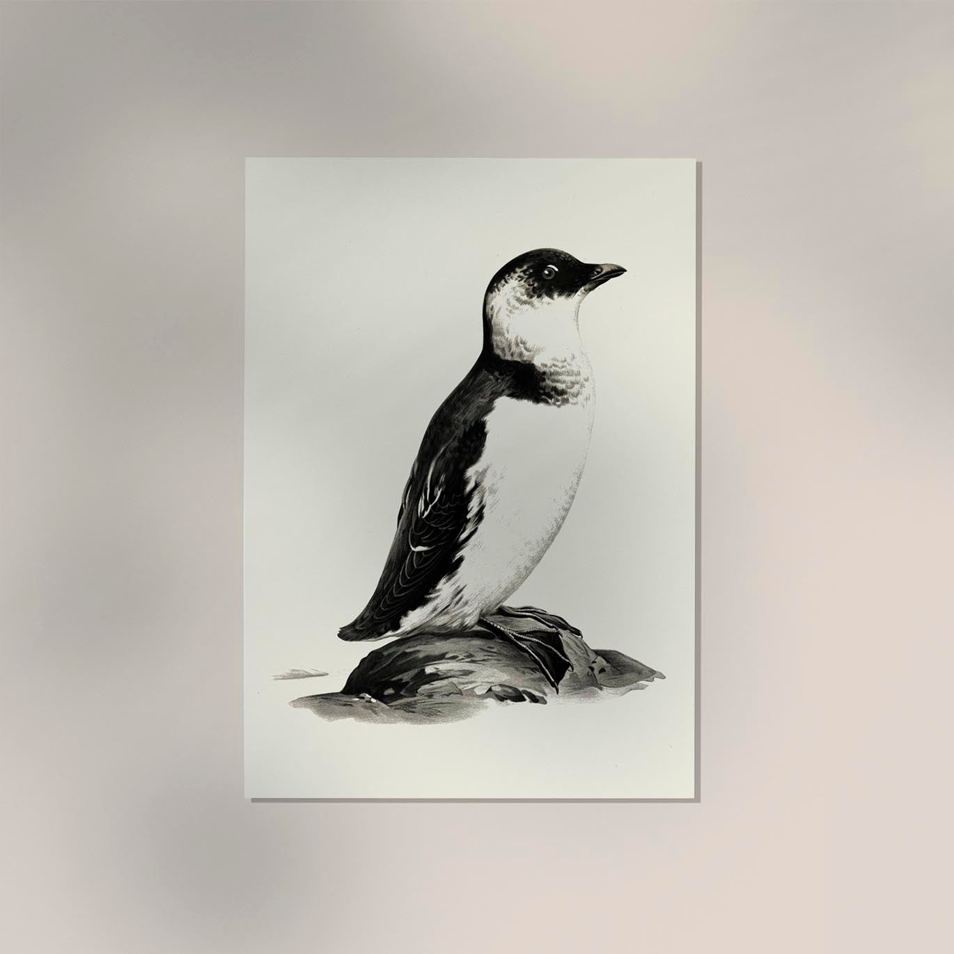 Antique Penguin Poster