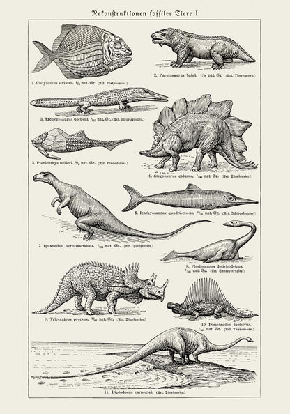 Antique Dinosaurs and Fossils Poster