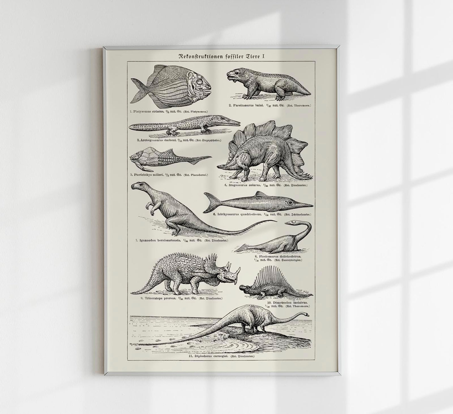 Antique Dinosaurs and Fossils Poster