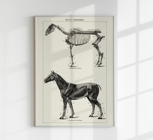 Antique Horses I Poster