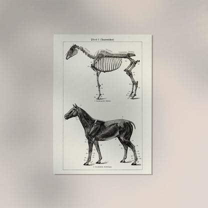 Antique Horses I Poster