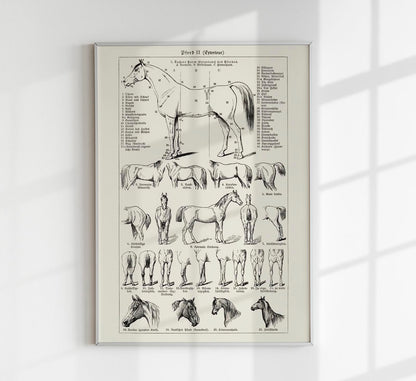 Antique Horses II Poster