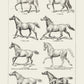 Antique Horses III Poster