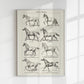 Antique Horses III Poster