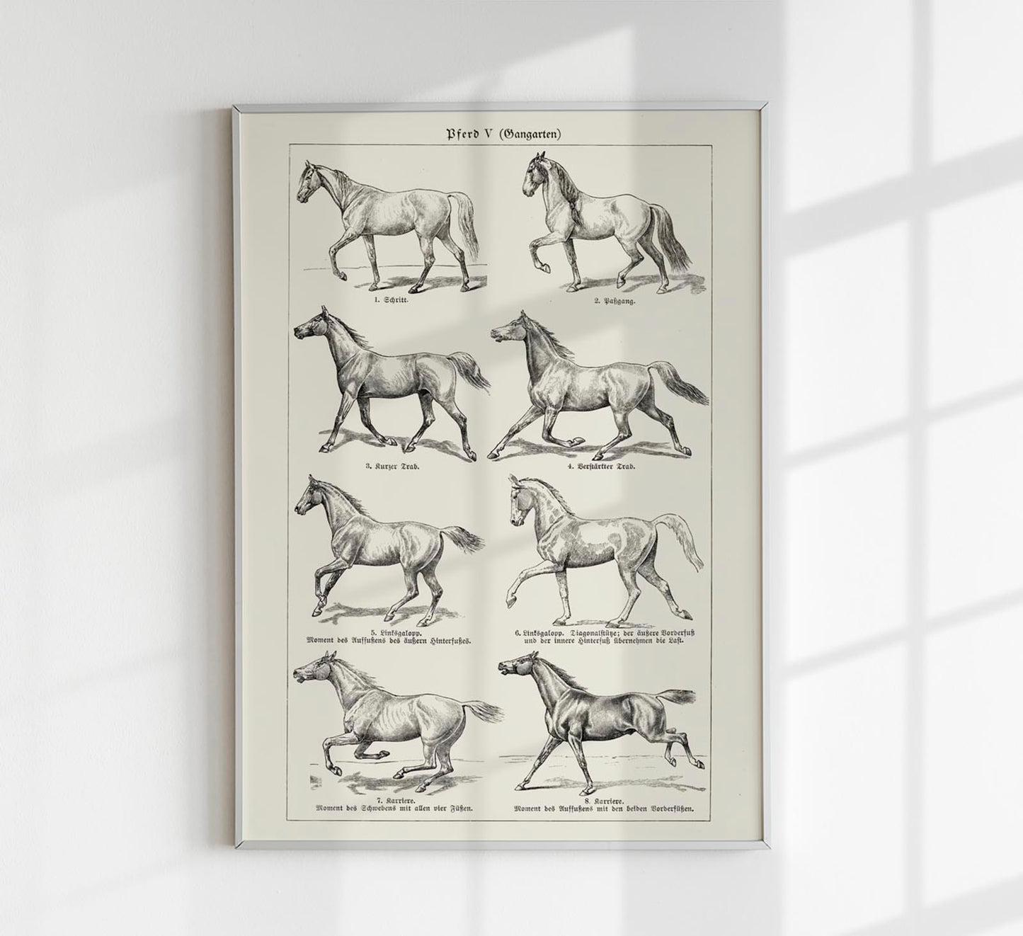 Antique Horses III Poster