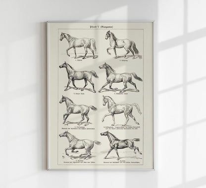 Antique Horses III Poster