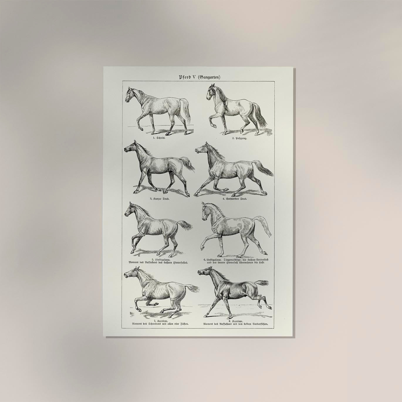 Antique Horses III Poster