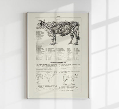 Antique Cow and Bull Rind Poster