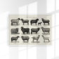 Antique Sheep and Goat Poster