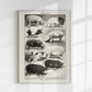 Antique Pig Breeds Poster