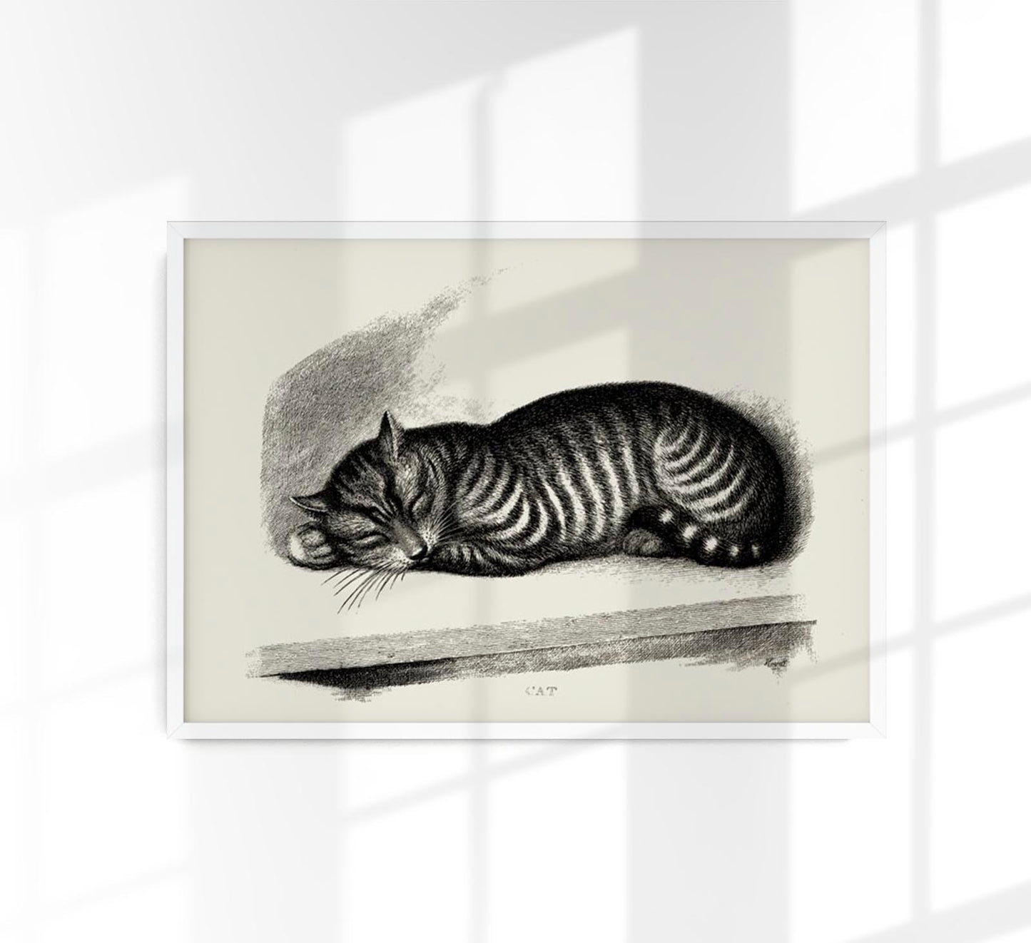 Antique Sleeping Cat Poster