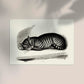 Antique Sleeping Cat Poster