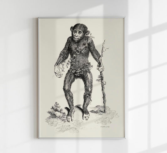 Antique Smiling Monkey Poster