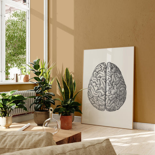 Anatomical Brain Science Poster