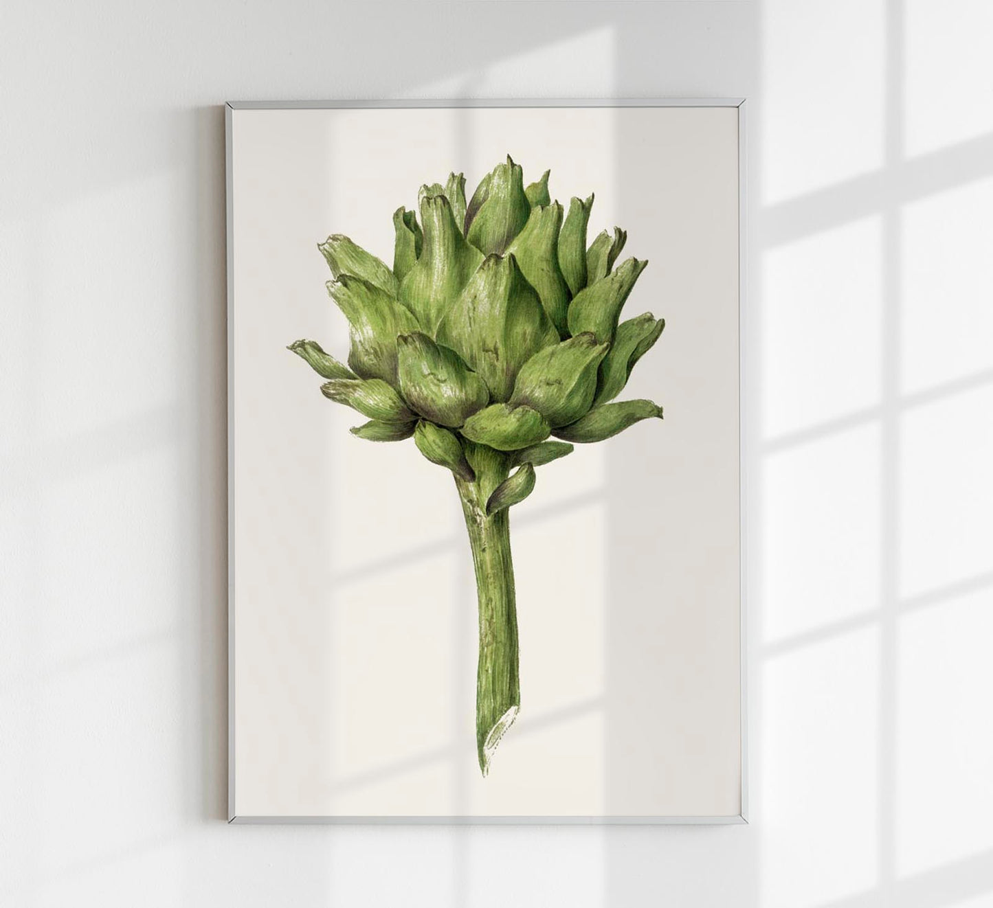 Antique Artichoke Poster