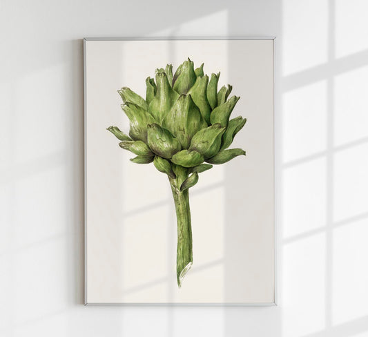 Antique Artichoke Poster