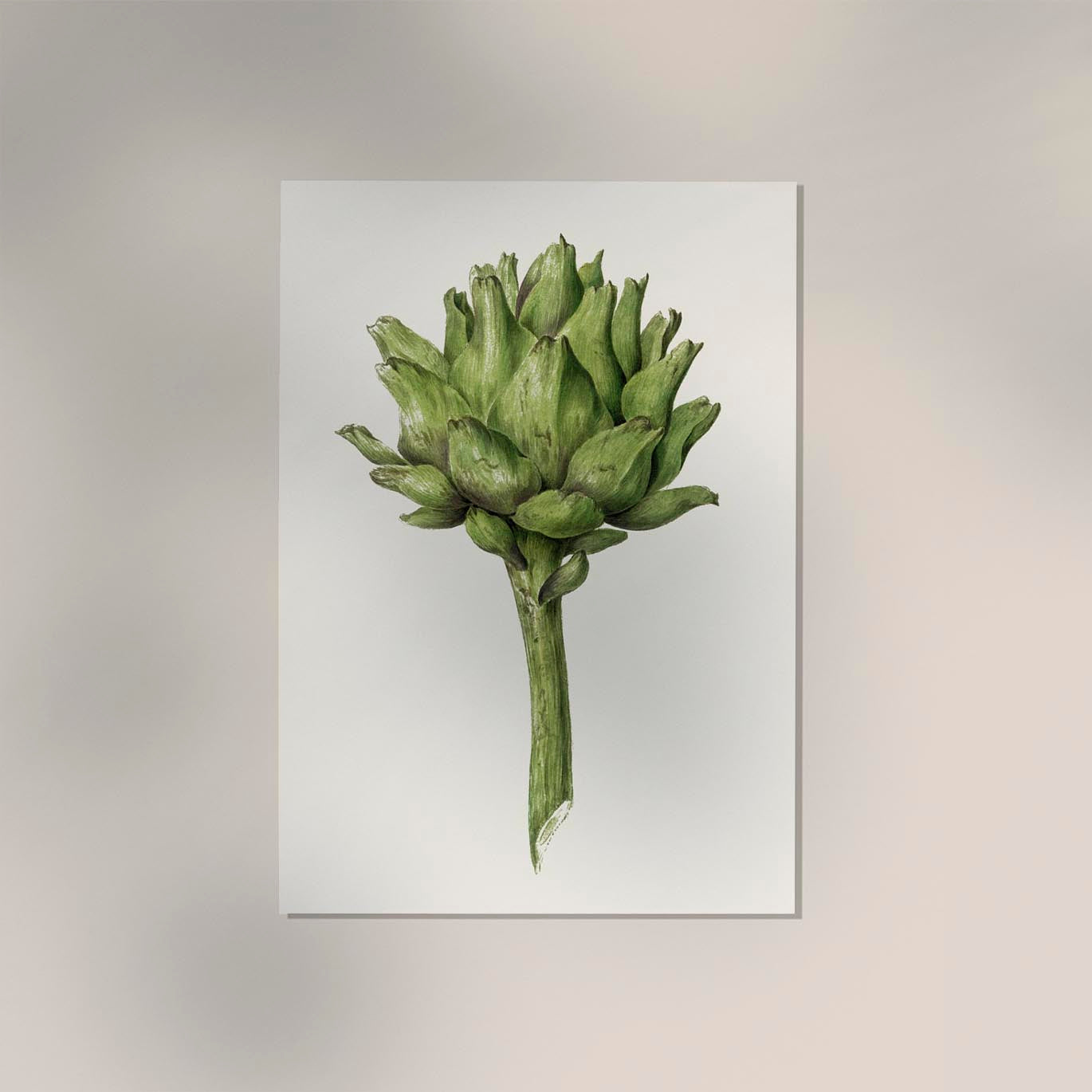 Antique Artichoke Poster