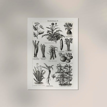 Antique Vegetable Chart II Poster