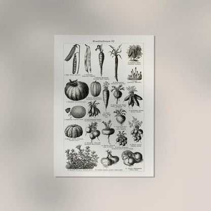 Antique Vegetable Chart III Poster