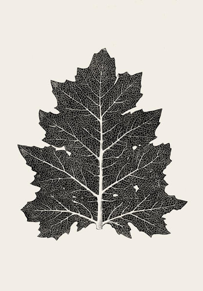 Antique Leaf Poster