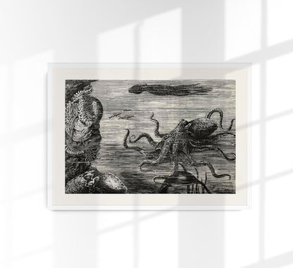 Antique Octopus I Poster