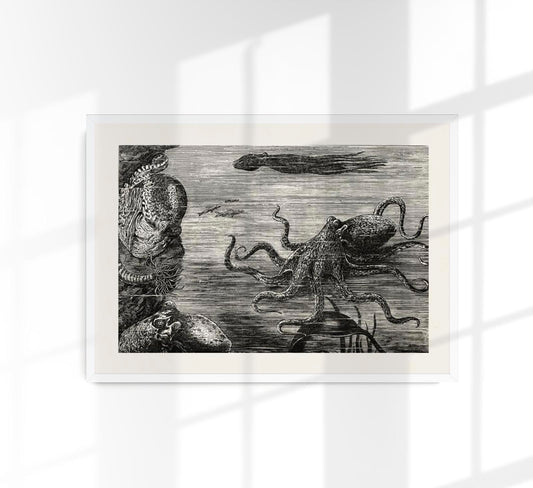 Antique Octopus I Poster
