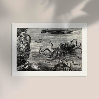 Antique Octopus I Poster